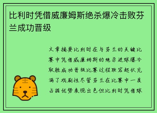 比利时凭借威廉姆斯绝杀爆冷击败芬兰成功晋级