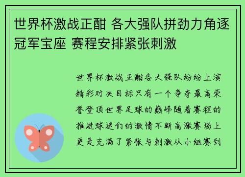 世界杯激战正酣 各大强队拼劲力角逐冠军宝座 赛程安排紧张刺激