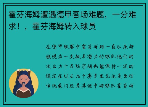 霍芬海姆遭遇德甲客场难题，一分难求！，霍芬海姆转入球员